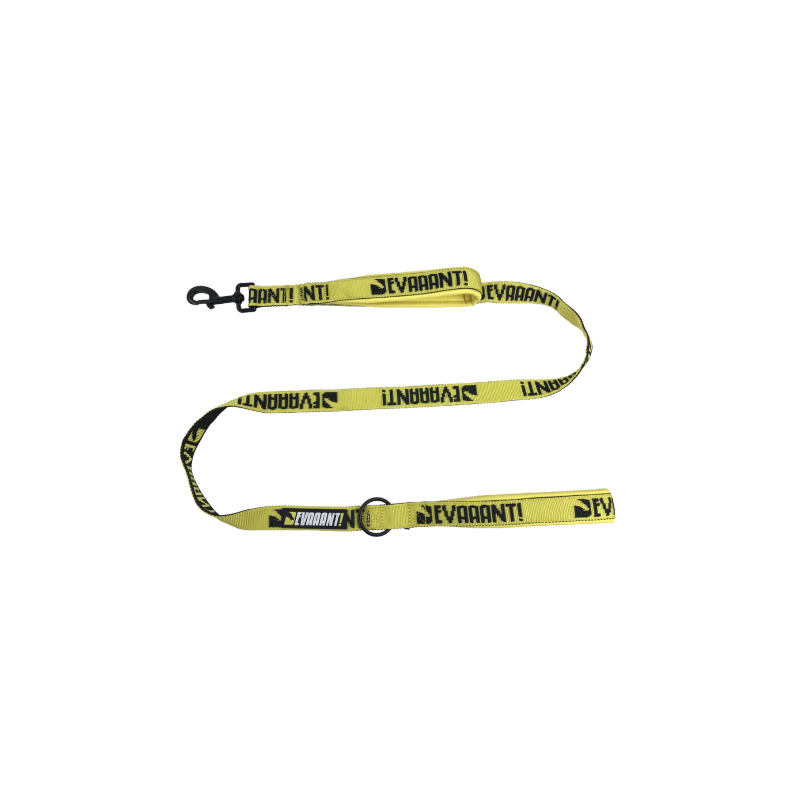 PACK LARGE Handler Leash Proteam Devaaant et Racing Collar Devaaant