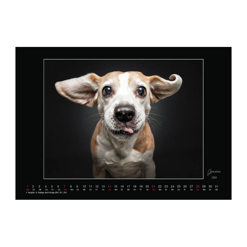 Wall Calendar tongueouteveryday