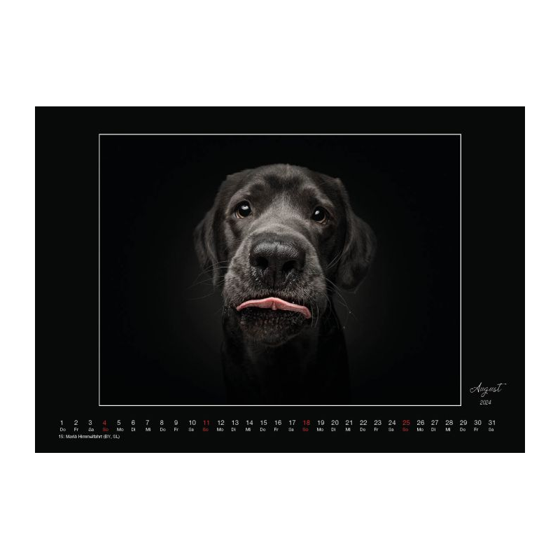 Wall Calendar tongueouteveryday