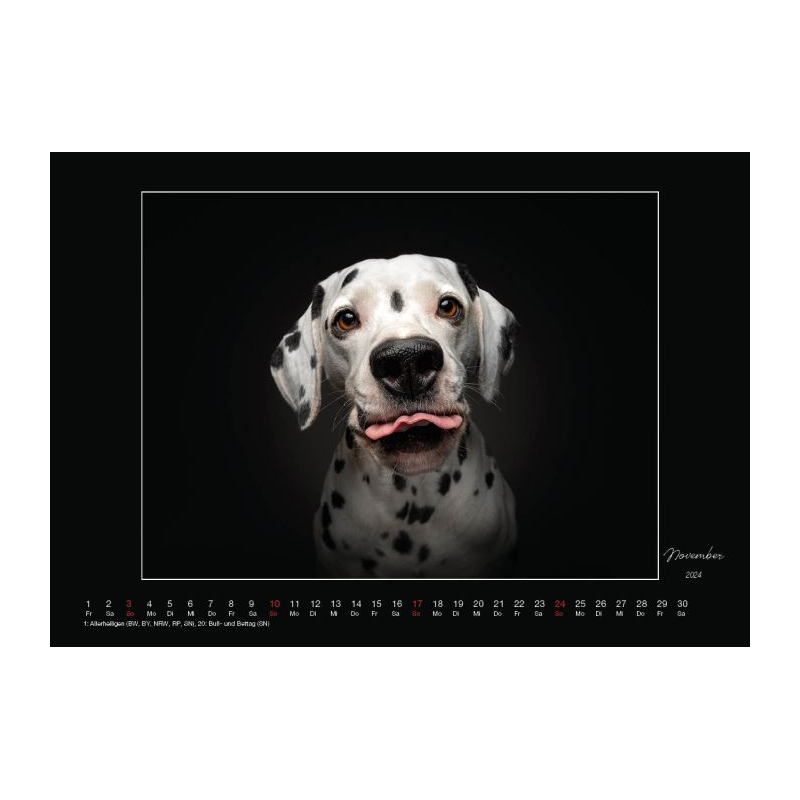 Wall Calendar tongueouteveryday