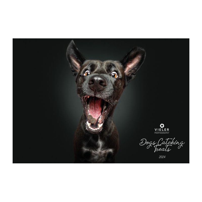 Wall Calendar - Dogs Catching Treats